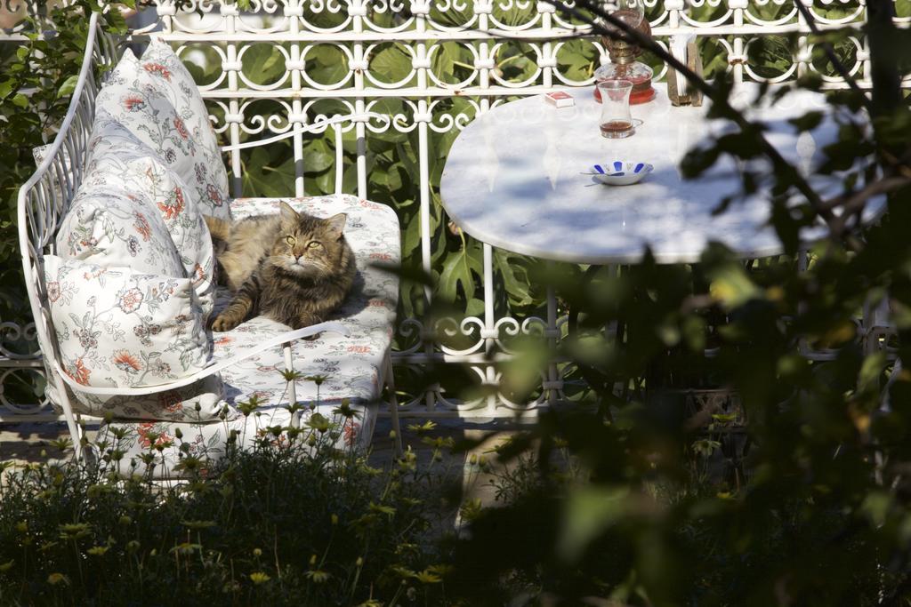 Nisanyan Hotel Selcuk ภายนอก รูปภาพ