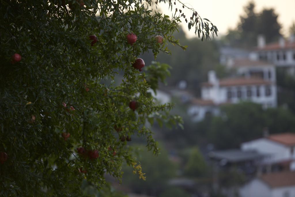 Nisanyan Hotel Selcuk ภายนอก รูปภาพ