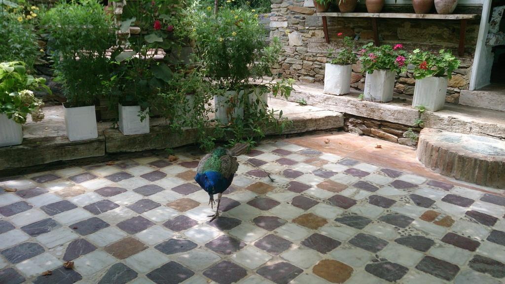 Nisanyan Hotel Selcuk ภายนอก รูปภาพ