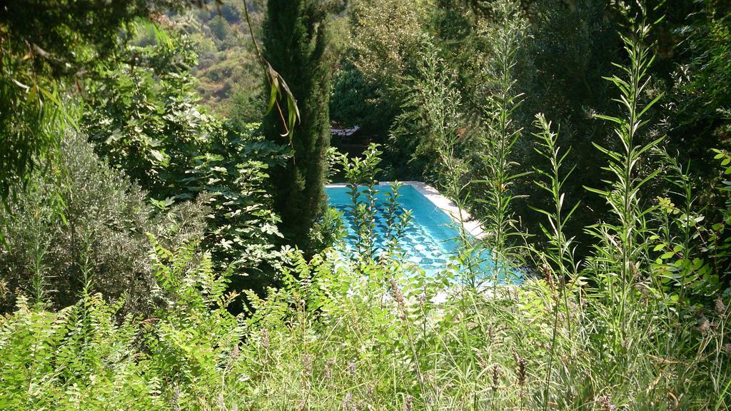 Nisanyan Hotel Selcuk ภายนอก รูปภาพ