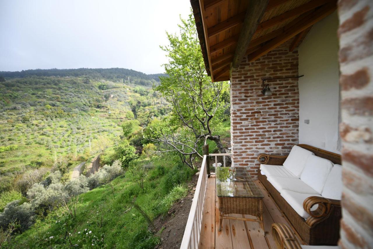 Nisanyan Hotel Selcuk ภายนอก รูปภาพ